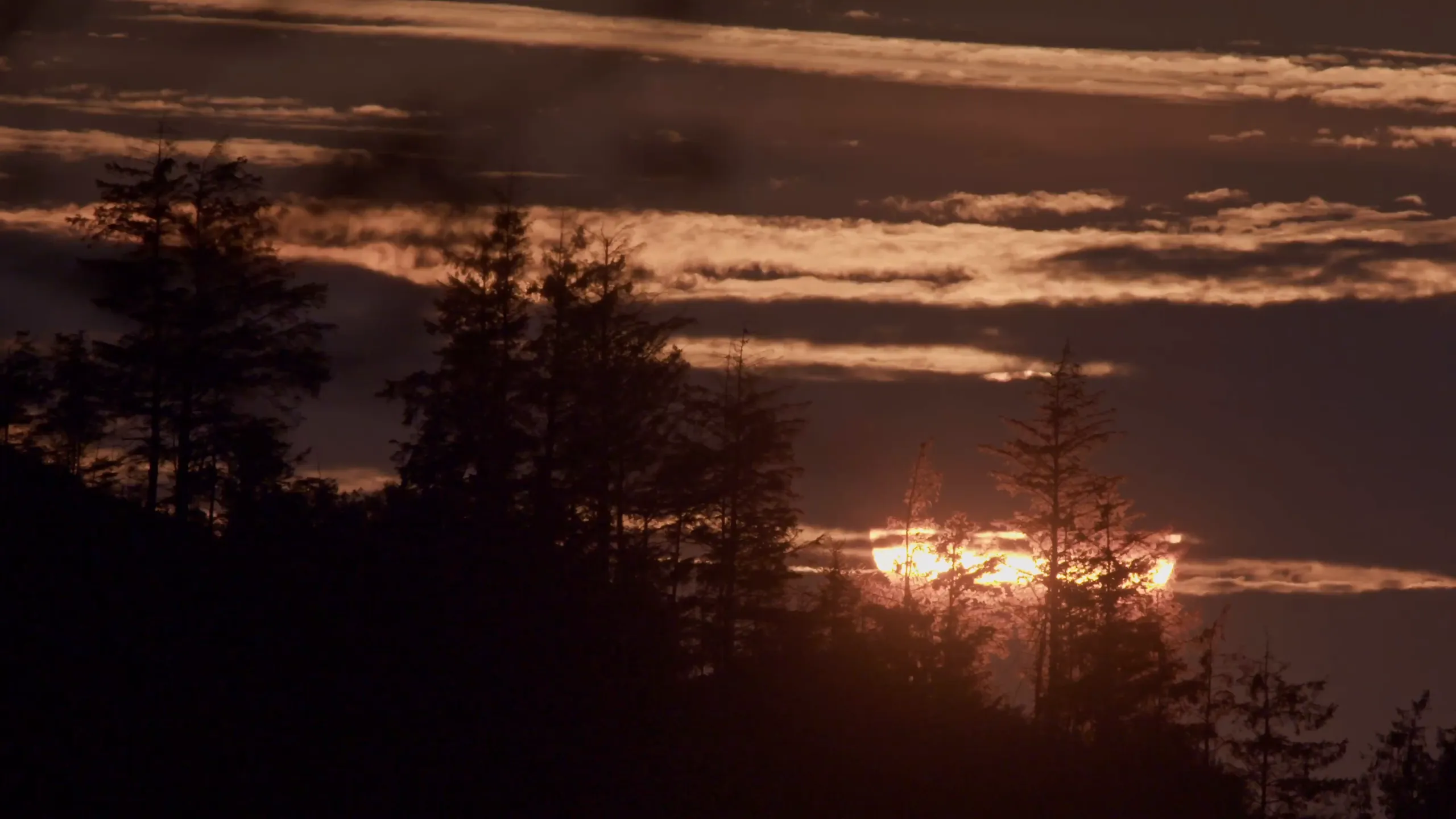 Dark, star-filled skies over the valley